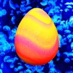 tamago mysterious egg pou 2 android application logo